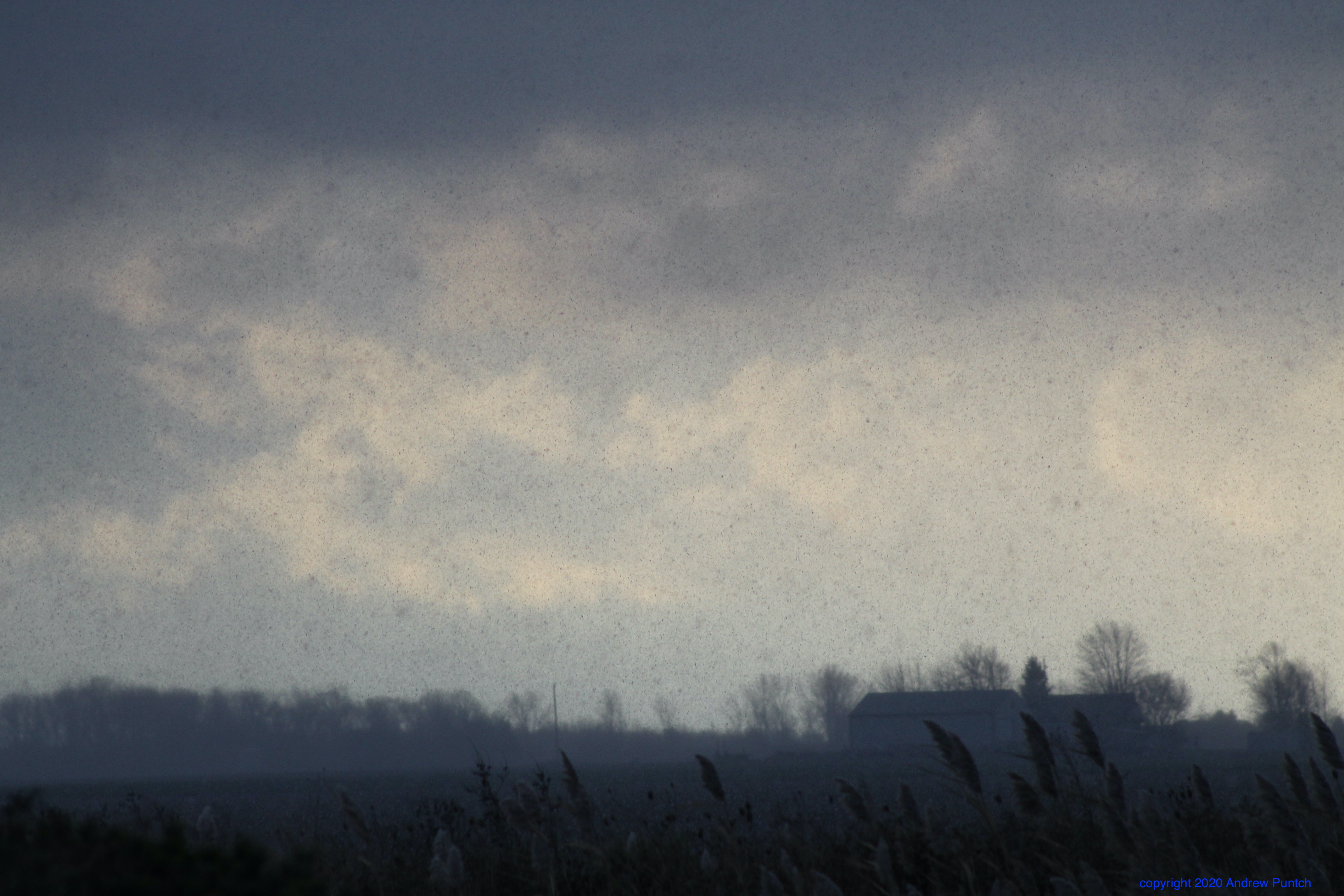 52535716-3999-4195-B3DD-F2D23A113E0B_1_201_a